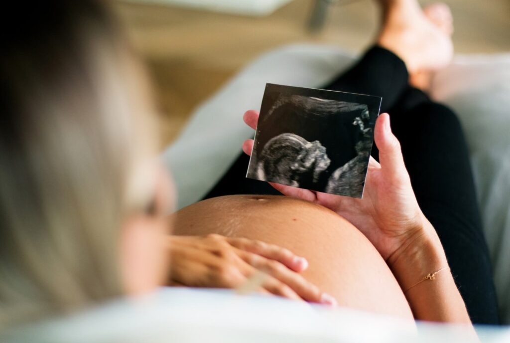 empregada gestante