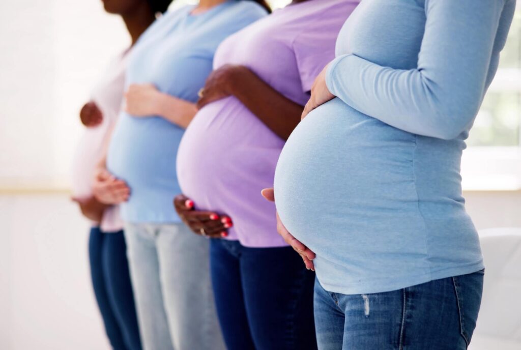 empregada gestante